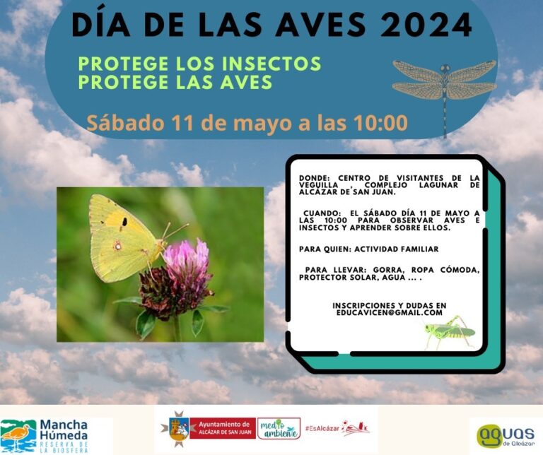 Día de las Aves 2024